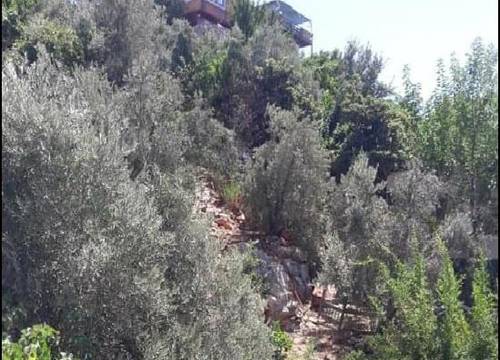 turkiye/antalya/kas/amfora-apart_c09b4c7a.jpg