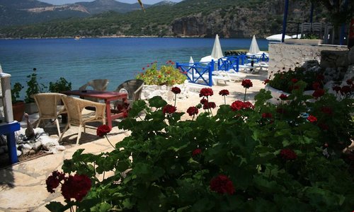 turkiye/antalya/kas/delos-beach-hotel_f98671e0.jpg