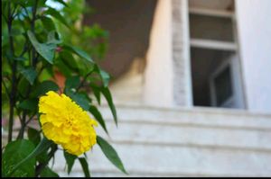 turkiye/antalya/kas/greenvillage-inn-aparts_3e4dfefa.jpeg