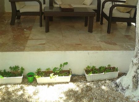 turkiye/antalya/kas/kaptan-yesil-vadi-doga-hotel_9fa9c258.jpg