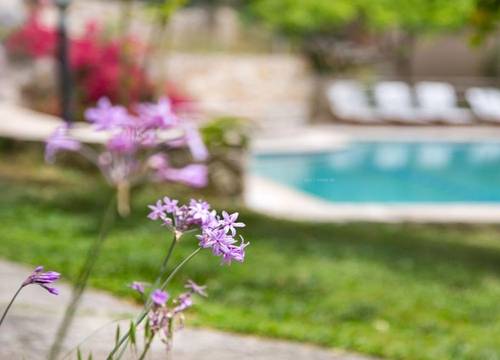 turkiye/antalya/kas/kleo-cottages_224ae2bd.png