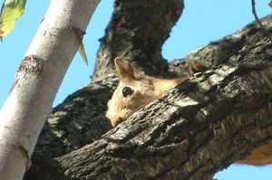 turkiye/antalya/kas/mektephan_3a5240b0.jpg