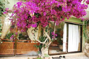 turkiye/antalya/kas/merhaba-patara-boutique-hotel_1b5dcf96.jpg