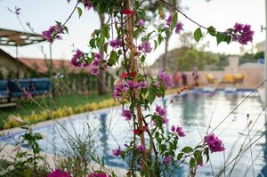 turkiye/antalya/kas/nrn-01_6c2b0d6d.jpg