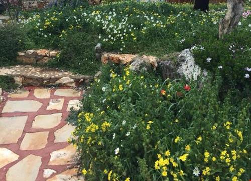 turkiye/antalya/kas/oread-garden_8ce9a79a.jpg