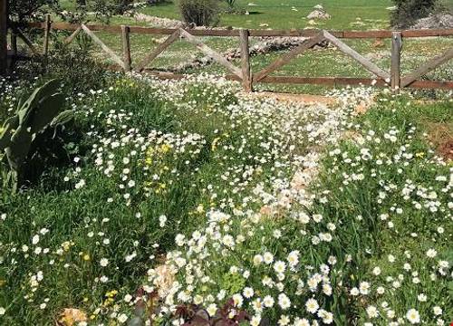 turkiye/antalya/kas/oread-garden_c8419395.jpg
