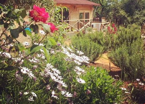 turkiye/antalya/kas/oread-garden_f964e2b8.jpg