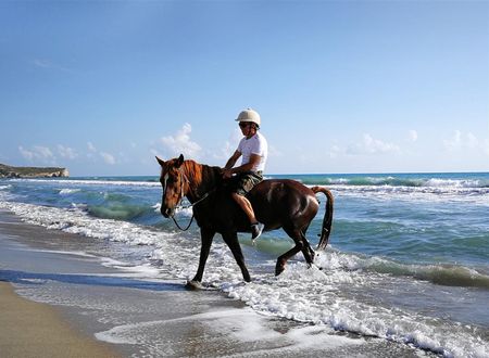 turkiye/antalya/kas/patara-caretta-hotel-80c81f7d.jpg