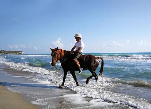 turkiye/antalya/kas/patara-caretta-hotel-80c81f7d.jpg