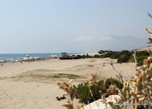 turkiye/antalya/kas/patara-woody-hostel-camping-2cb7e83c.jpg