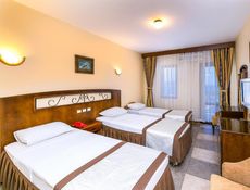 Pokój typu Standard z widokiem na ląd dla 3 osób