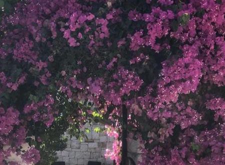 turkiye/antalya/kas/solen-blu-villa_ca8e22f9.jpg