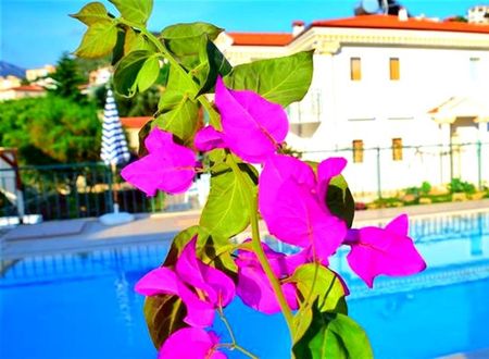 turkiye/antalya/kas/soral-villas-3d731e29.jpeg