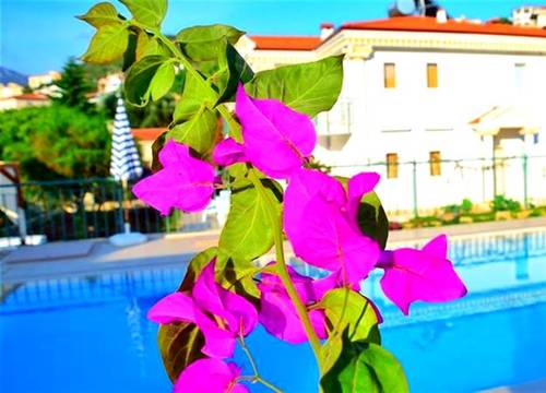 turkiye/antalya/kas/soral-villas-3d731e29.jpeg