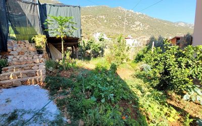 Villa Dogal · 5