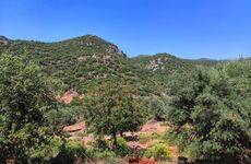 turkiye/antalya/kas/villa-seker_808aad2c.jpg