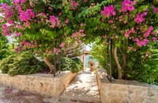 turkiye/antalya/kas/villa_neo32d258c3eebea540c797de94ae31b82a6e.jpeg