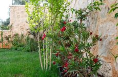turkiye/antalya/kas/villanarin35576f4e9c55f3744f98f09a5c9c9c47f44.jpg