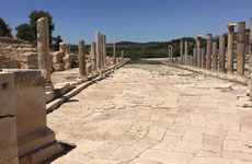 turkiye/antalya/kas/zeybek-1-pansiyon-8136b76e.jpg