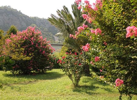 turkiye/antalya/kemer/anatolia-resort-hotel_68caebbb.jpg
