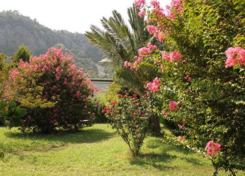 turkiye/antalya/kemer/anatolia-resort-hotel_68caebbb.jpg