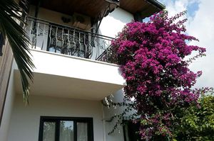 turkiye/antalya/kemer/anatolia-resort-hotel_aa97194c.jpg