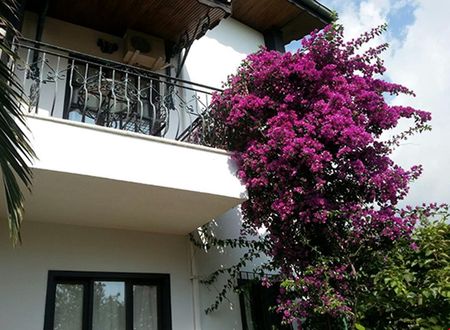 turkiye/antalya/kemer/anatolia-resort-hotel_aa97194c.jpg