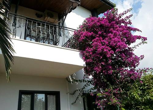 turkiye/antalya/kemer/anatolia-resort-hotel_aa97194c.jpg
