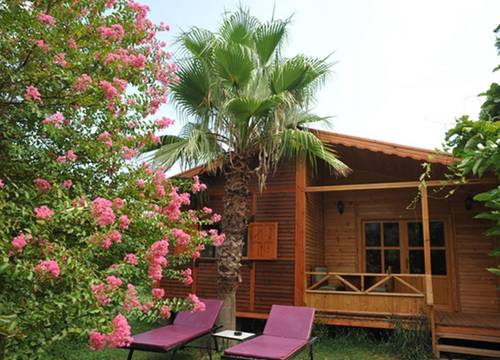 turkiye/antalya/kemer/anatolia-resort-hotel_ba685ad9.jpg