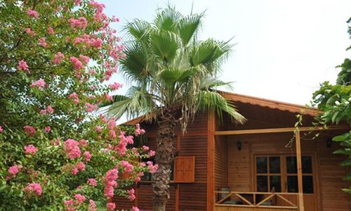 turkiye/antalya/kemer/anatolia-resort-hotel_ba685ad9.jpg