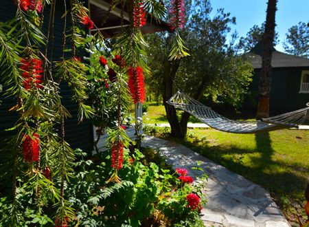 turkiye/antalya/kemer/arcadia-beach-bungalow_8dc3ae38.jpg