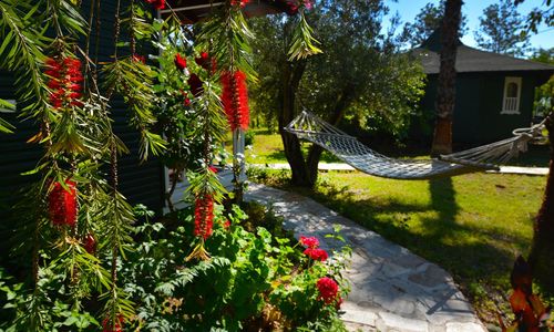 turkiye/antalya/kemer/arcadia-beach-bungalow_8dc3ae38.jpg