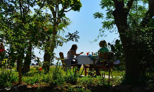 turkiye/antalya/kemer/arcadia-beach-bungalow_ae9d7f1d.jpg