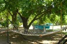 turkiye/antalya/kemer/armina-pension_94d2e356.jpg