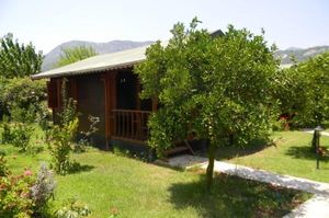 turkiye/antalya/kemer/armina-pension_9ee2a864.jpg