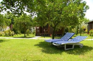 turkiye/antalya/kemer/armina-pension_c6d4b4da.jpg