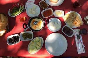 turkiye/antalya/kemer/arya-holiday-houses-642-85c2e9ba.jpg