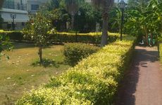 turkiye/antalya/kemer/blue-house_b7c105b1.jpg