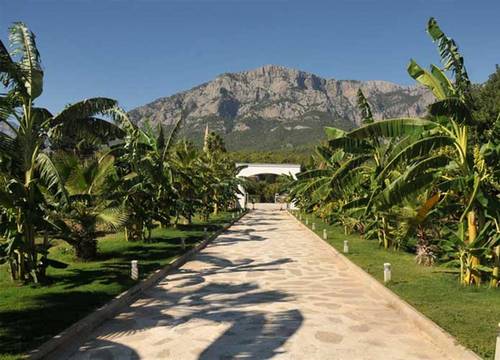 turkiye/antalya/kemer/botanik-resort-hotel-53003821.jpg
