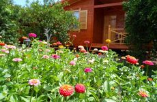 turkiye/antalya/kemer/cirali-ugur-pansiyon-bungalows-1404963256.JPG