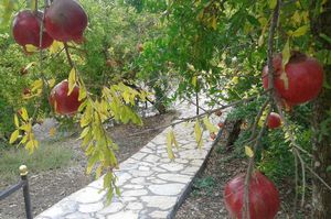 turkiye/antalya/kemer/ciraliwaldvilla_bfedb731.jpg