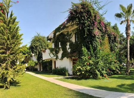 turkiye/antalya/kemer/club-boran-mare-beach-1131249493.png