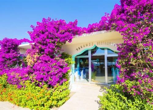 turkiye/antalya/kemer/daima-resort-hotel-1598817602.png