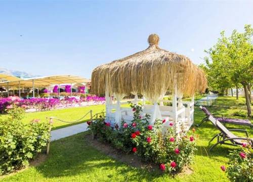 turkiye/antalya/kemer/daima-resort-hotel-1806155172.png