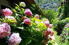 turkiye/antalya/kemer/dolunay-apart-otel_189b0dd6.jpg