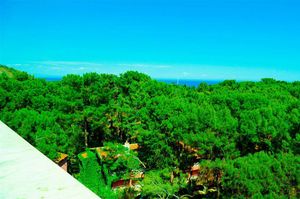 turkiye/antalya/kemer/festival-nature-hotel_84f19cec.jpg