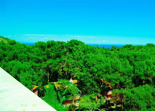 turkiye/antalya/kemer/festival-nature-hotel_84f19cec.jpg