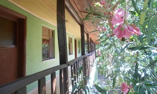 turkiye/antalya/kemer/fire-pansiyon_3e927fc3.jpg