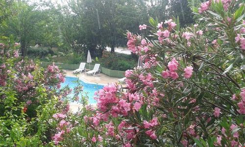 turkiye/antalya/kemer/fire-pansiyon_9202e40a.jpg