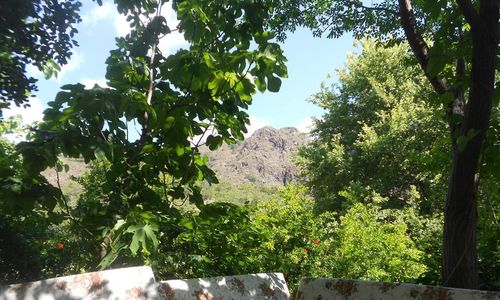 turkiye/antalya/kemer/fire-pansiyon_c6521f1d.jpg